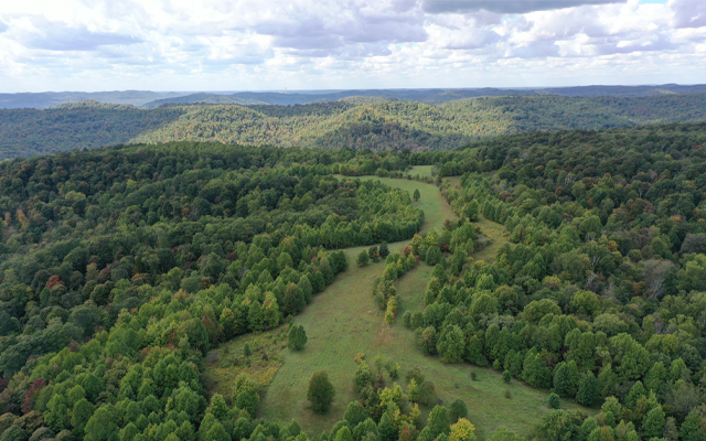 Aerial image overlooking forests at Edge of Appalachia Preserve. Photo credit: © Dana Ohman/TNC