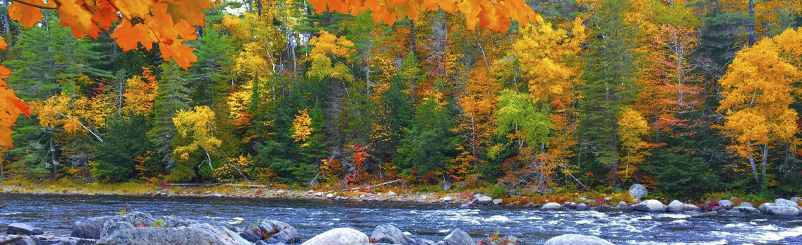 Fall in full bloom in Medway, ME. © Dan Drost/TNC Photo Contest 2019 