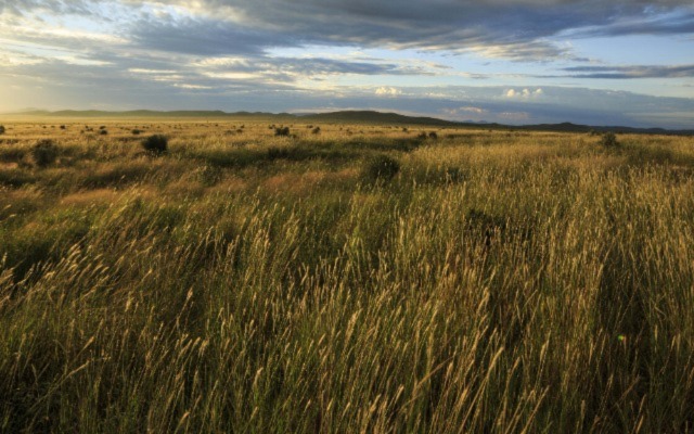 Scenic view of the Marathon Grasslands Preserve. Photo Credit: © Jerod Foster