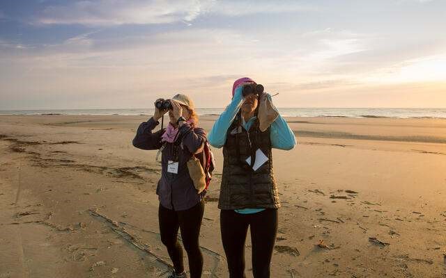 Two people look through binoculars while standing on Little St Simons Island beach. Photo Credit: © Parlee Chambers