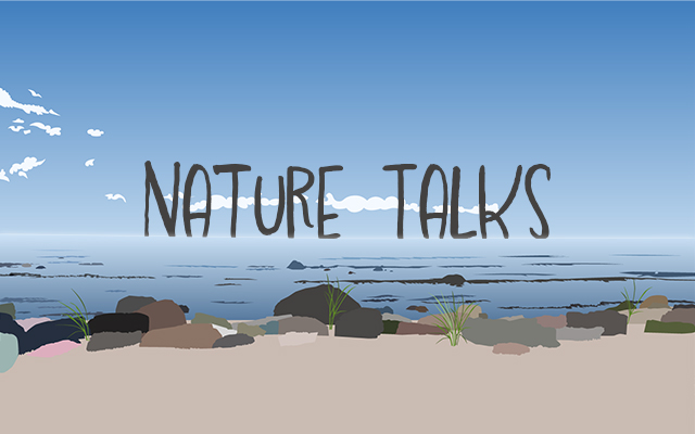 Illustrated drawing of a rocky beach at the ocean's edge that says Nature Talks: The Ocean’s Future is our Future. © TNC in CT