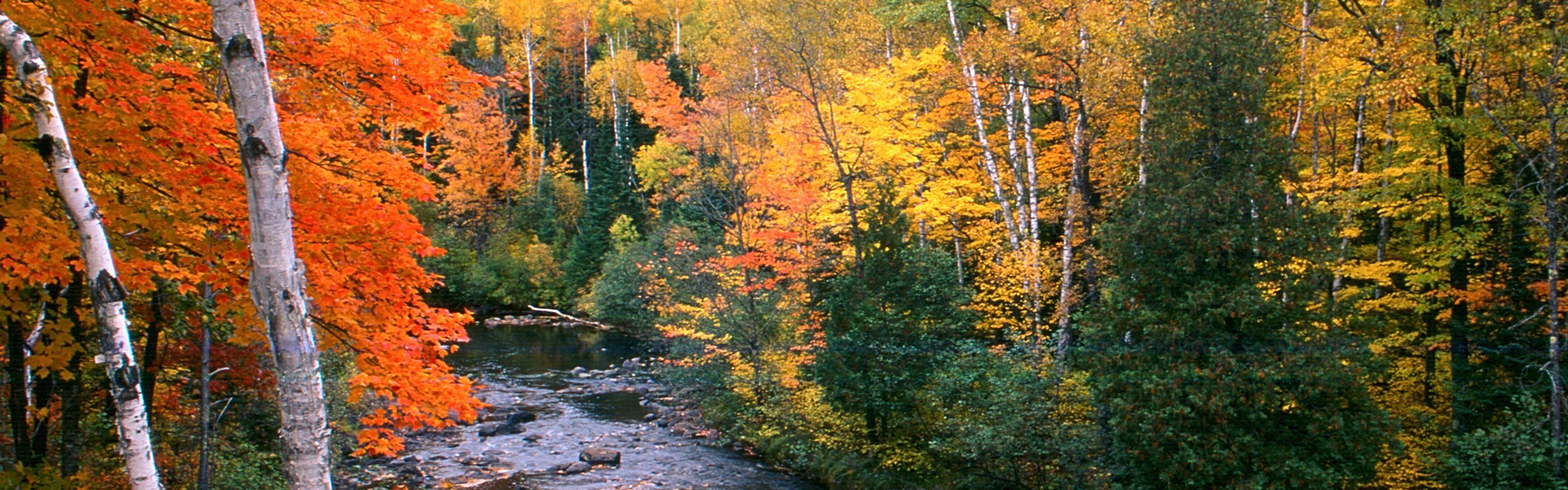 Fall scene at Flambeau River © Robert A. Kleppin
