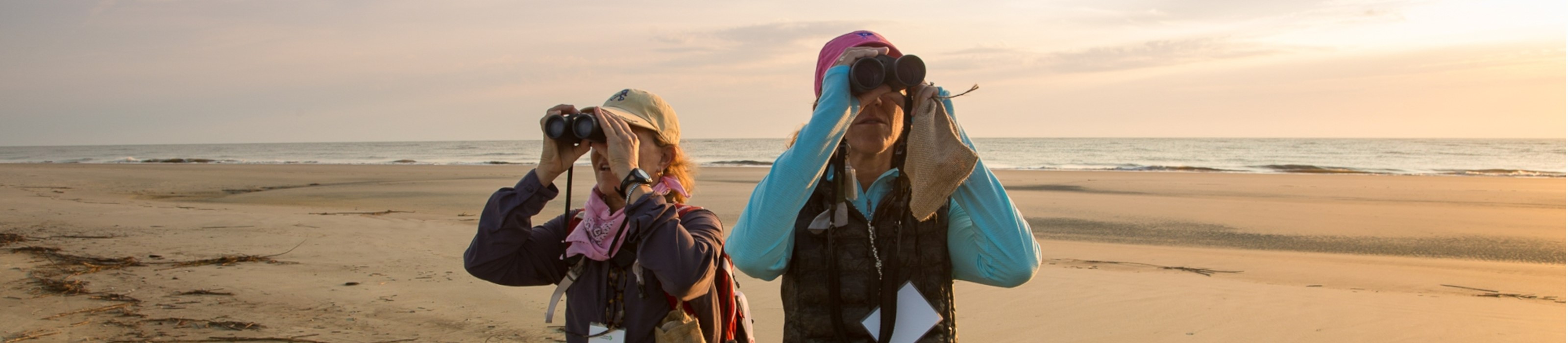 Two people look through binoculars while standing on Little St Simons Island beach. Photo Credit: © Parlee Chambers