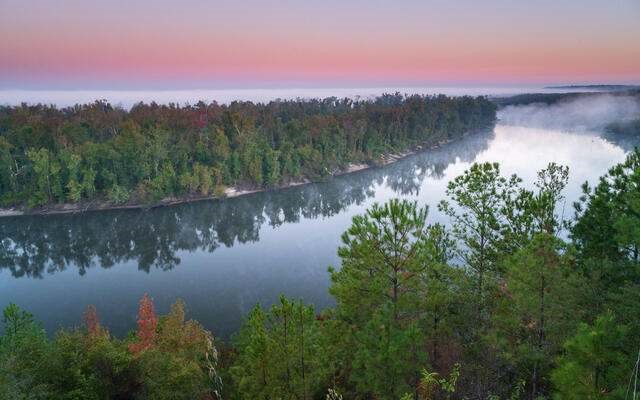 Morning at Alum Bluff, Apalachicola Bluffs and Ravines Preserve. Photo Credit: © Andrew Kornylak