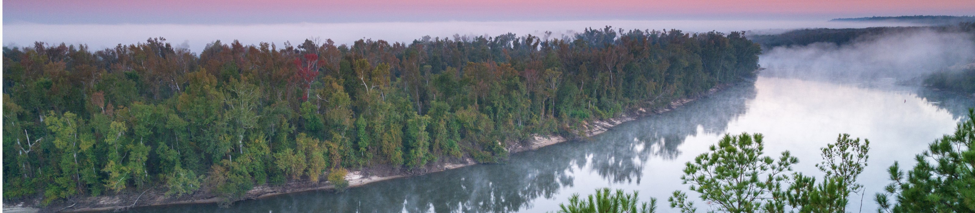 Morning at Alum Bluff, Apalachicola Bluffs and Ravines Preserve. Photo Credit: © Andrew Kornylak