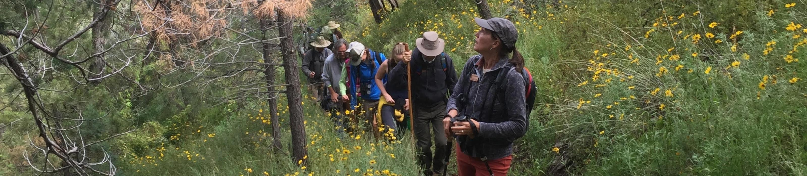 A group of Master Naturalists hike up Tobe Spring Trail. Photo Credit: © Kaylee French