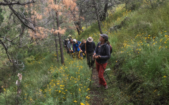 A group of Master Naturalists hike up Tobe Spring Trail. Photo Credit: © Kaylee French
