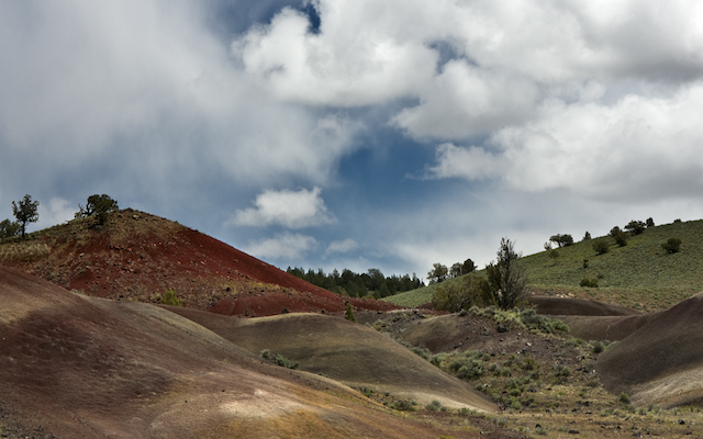 The hilly landscape of Juniper Hills Preserve under a bright blue sky. © Rick McEwan