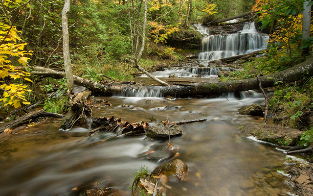 A waterfall rushes down through a forest covered in colorful leaves. ©Jason Whalen
