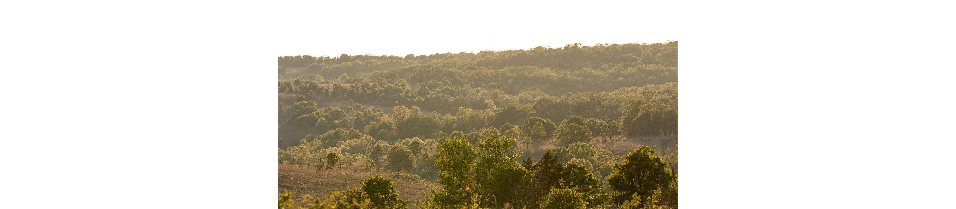 Landscape shot of Pearl Jackson Crosstimbers Preserve