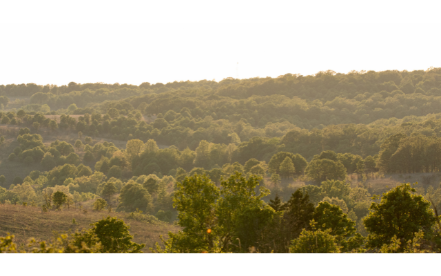 A shot of the landscape at Pearl Jackson Crosstimbers Preserve