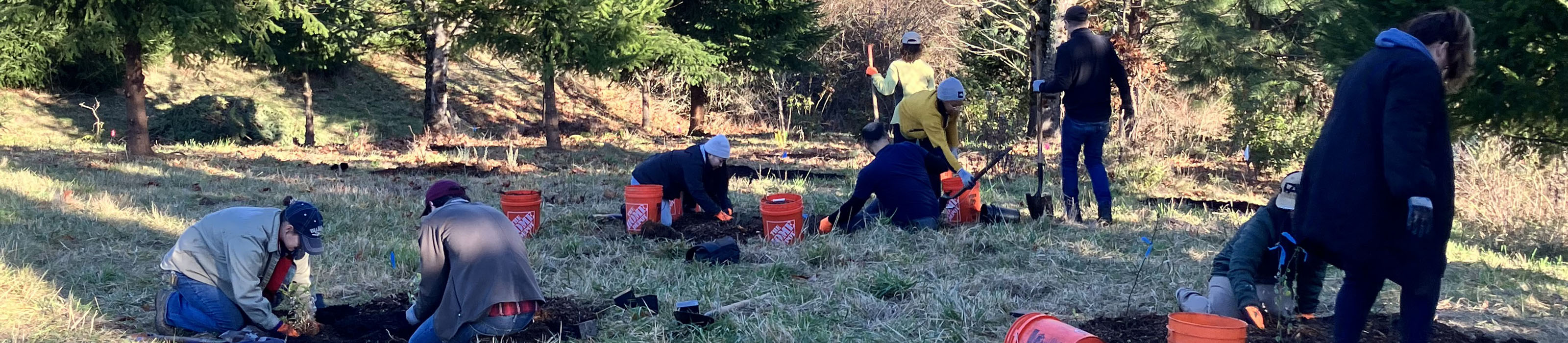 Several volunteers work in a field to plant trees during a Powell Butte Work Party. © Meng Vue/Portland Parks & Recreation