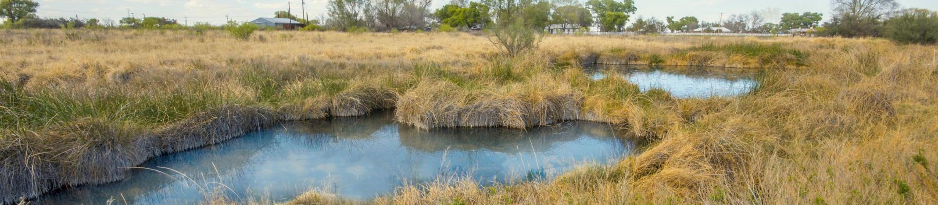 East Sandia Springs in West Texas. © Jacqueline Ferrato/TNC