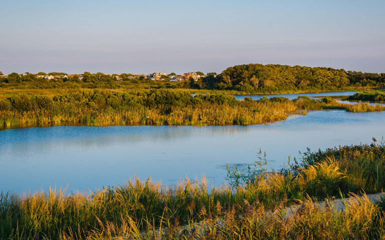 Wetlands at TNC’s South Cape May Meadows Preserve in New Jersey. © Jon Bilous/Shutterstock