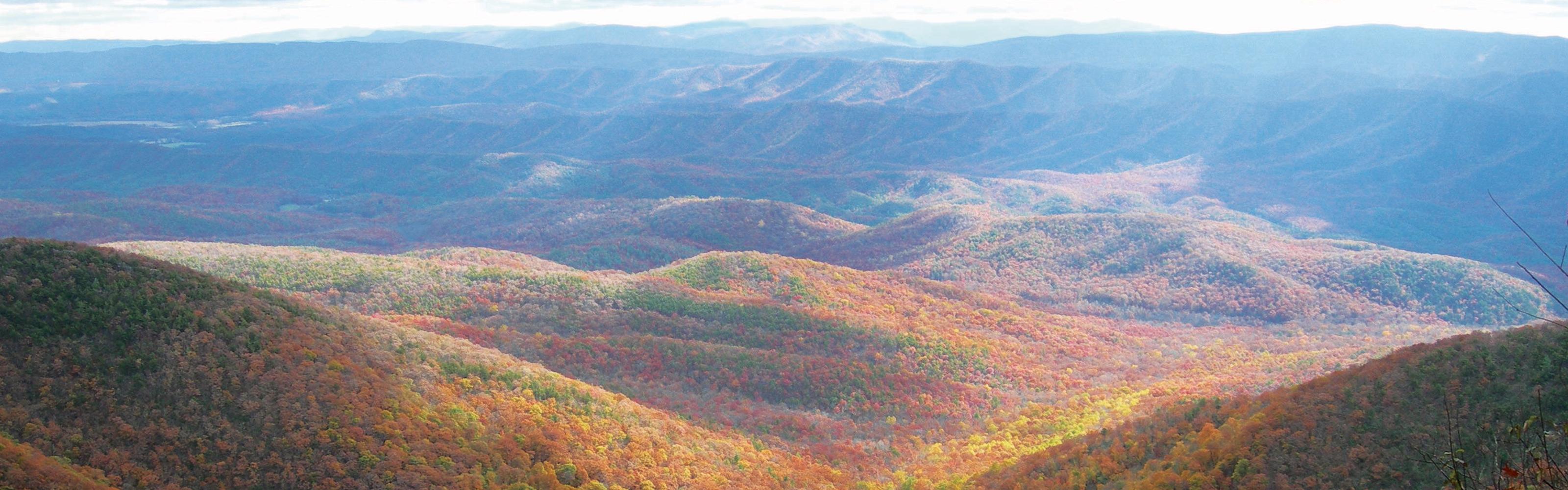 Warm Springs Mountain in Virginia © Jennifer Rich/TNC