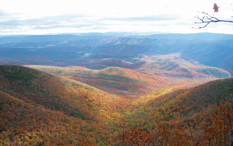 Warm Springs Mountain in Virginia © Jennifer Rich/TNC