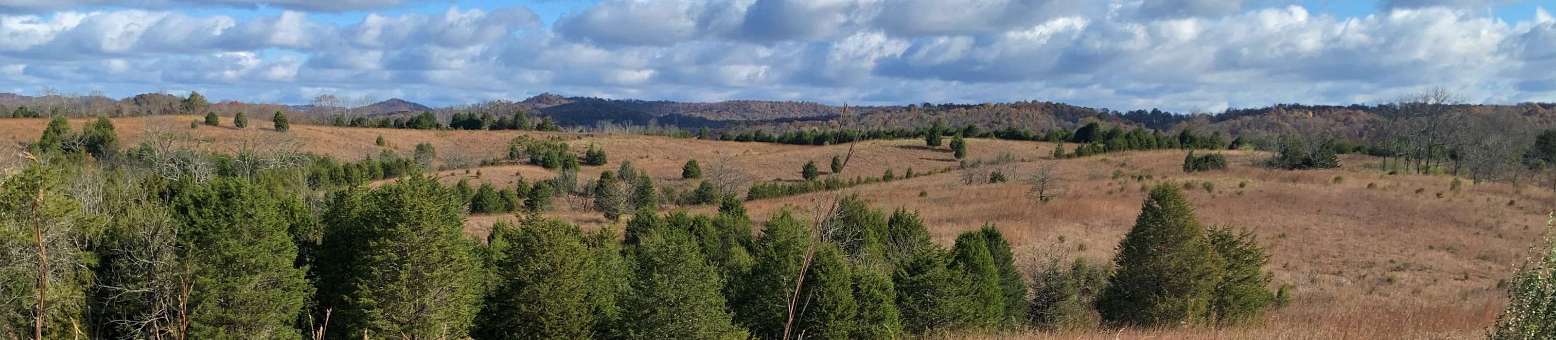 Strait Creek. Photo credit © Terry Seidel/TNC