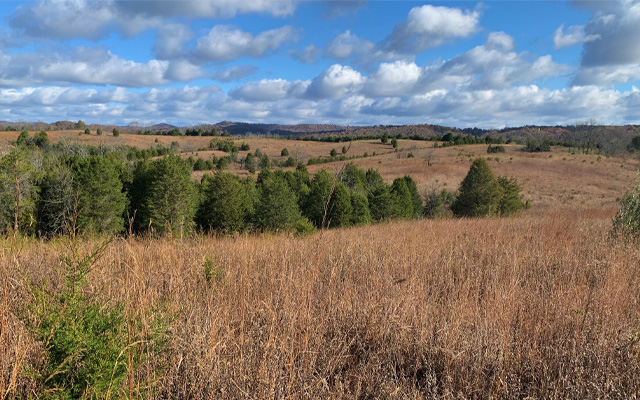 Strait Creek. Photo credit © Terry Seidel/TNC