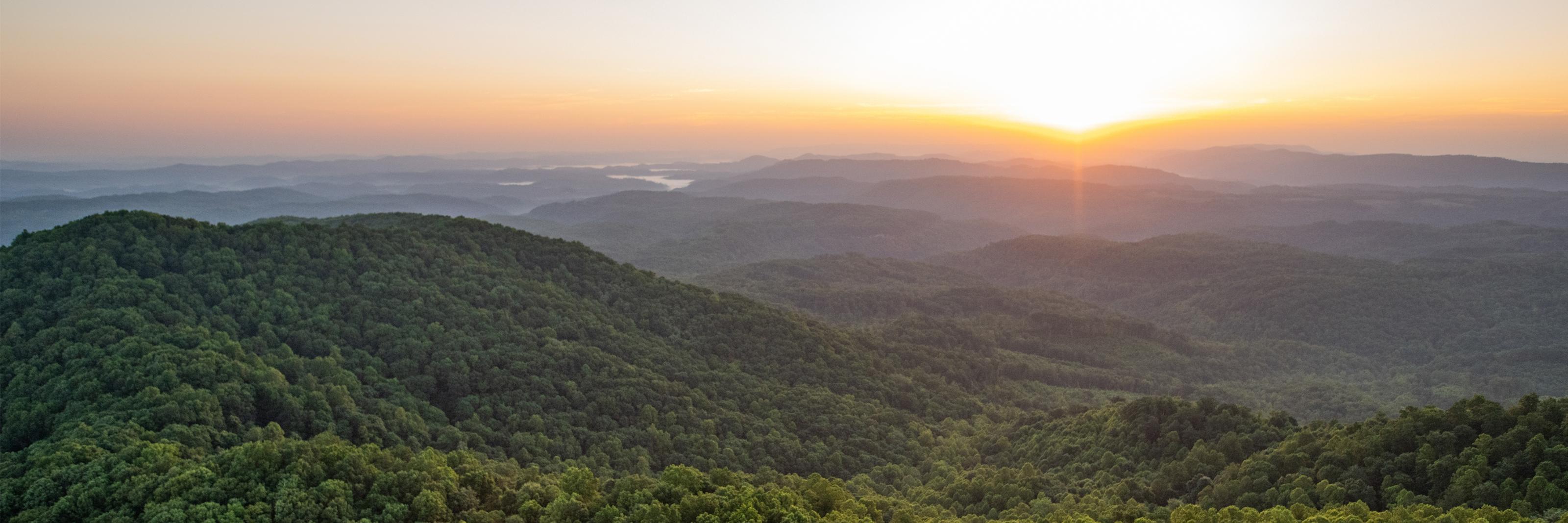 Sunrise on Cumberland Forest © Cameron Davidson 