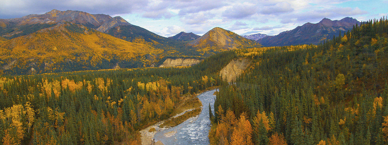 Alaskan wilderness in Denali, from the McKinley Explorer Train. © Tamara Hayes/TNC Photo Contest 2019