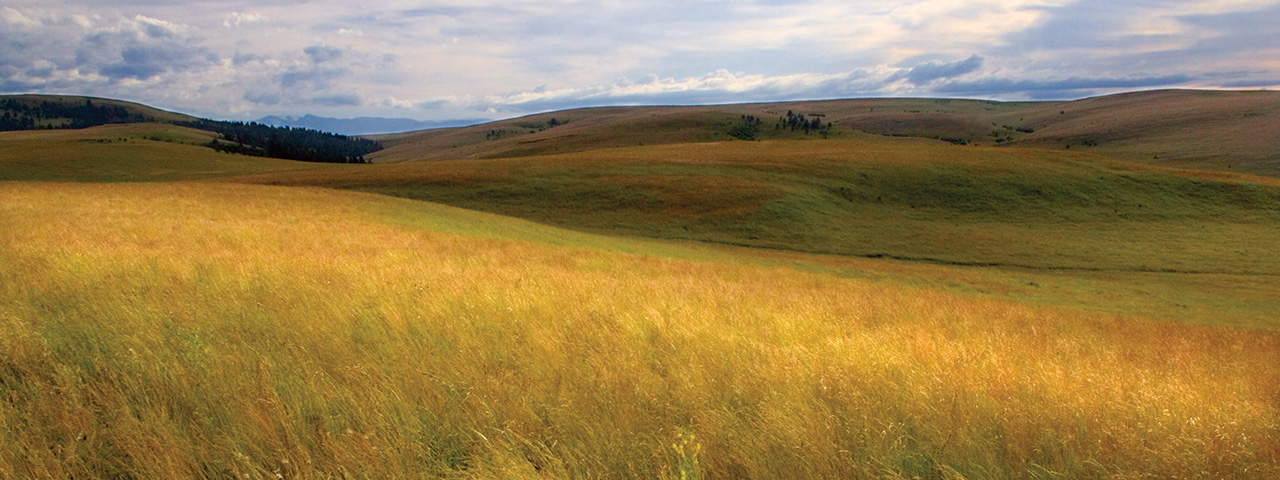 Zumwalt Prairie Preserve in Oregon. © Rick McEwan