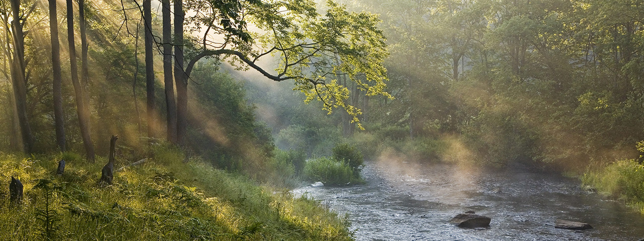 Early morning sunlight filters though mist and forest along the Blackwater River as it flows through the Canaan Valley National Wildlife Refuge in West Virginia. © Kent Mason
