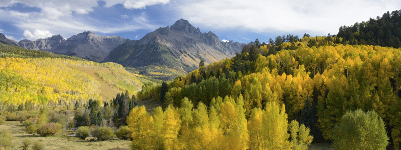 Mount Sneffels and Gold © Michael Danielson/TNC Photo Contest 2019