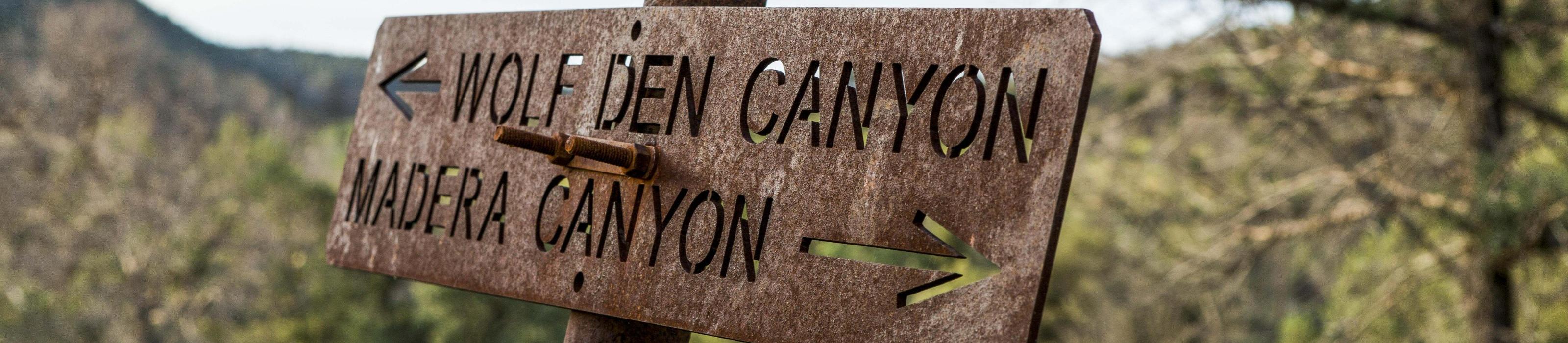 Wolf Den Canyon and Madera Canyon Intersection Sign. Photo credit: © Jerod Foster