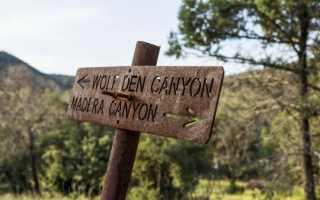 Wolf Den Canyon and Madera Canyon Intersection Sign. Photo credit: © Jerod Foster