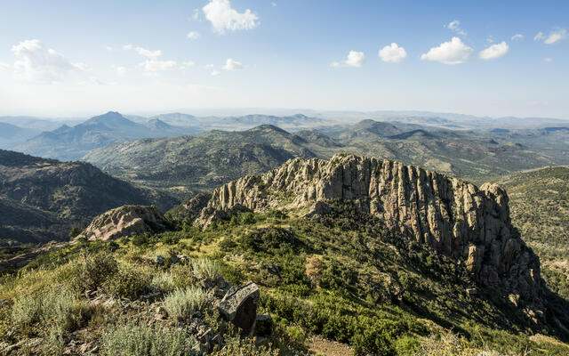 View from Baldy Peak. Photo Credit: © Jerod Foster