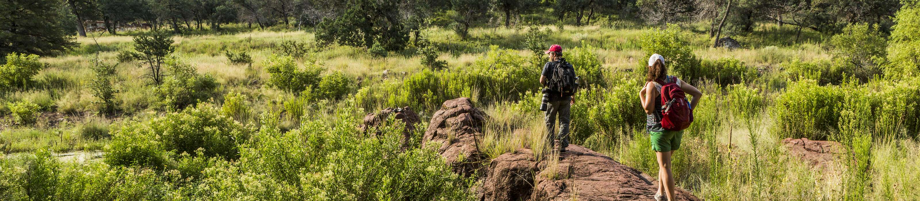 Hikers explore the Davis Mountains Preserve. Photo Credit: © Jerod Foster