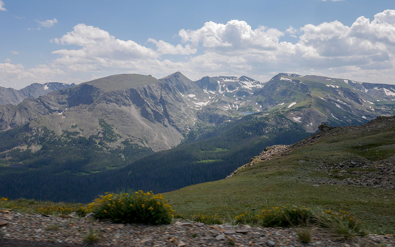 Sweeping view of distant mountains in summer, with a sloping meadow and some yellow wildflowers in the foreground.
