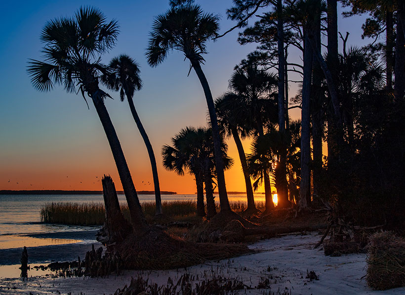Sunset along the Apalachicola Bay coast off U.S. Highway 98 near Nine Mile, Apalachicola, Florida. &copy; Andrew Kornylak