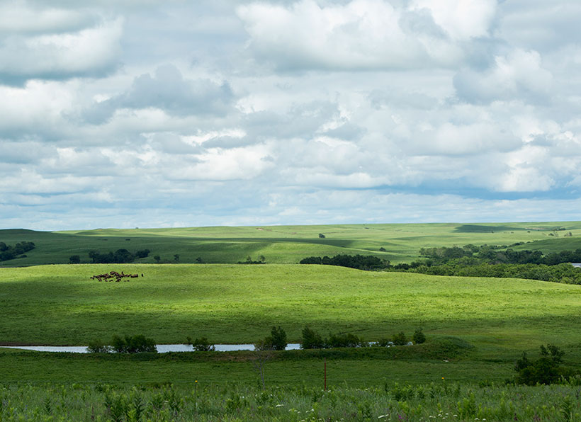Landscape of the Conservancy's Tallgrass Prairie Preserve near Strong
City, Kansas. &copy; Ryan Donnell