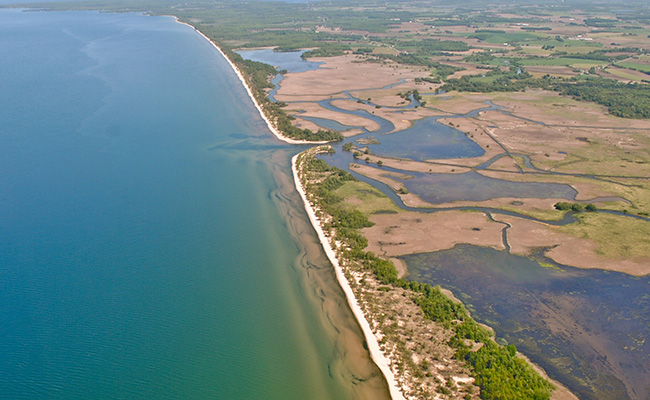 A protected wetland at Lakeview Wildlife Management Area along Lake Ontario in New York. &copy; Mathew Levine