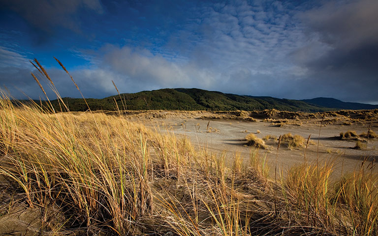 Scenic landscape at Valdivia Coastal Reserve, Chile. &copy; Ian Shive