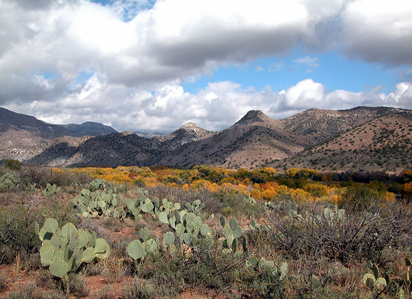 Fall colors at Gila Preserve in New Mexico. &copy; Michael Fugagli/TNC