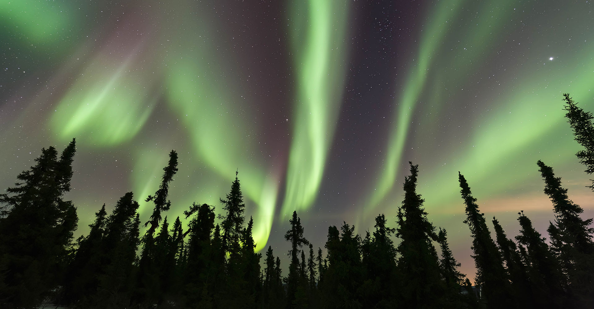 Una vista de la aurora boreal en el Área Recreativa Nacional de las Montañas Blancas en Alaska. © Dominique Braud/TNC Photo Contest 2022