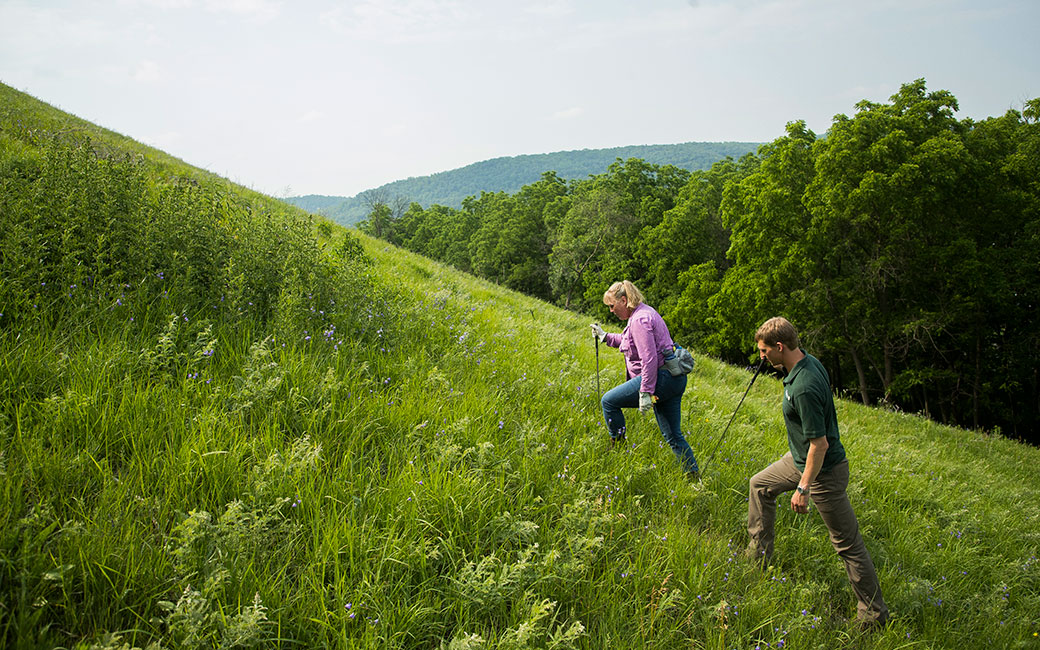 Two hikers trek up the side of a bluff near Rushford, Minnesota. &copy; Derek Montgomery