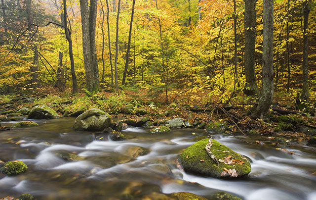 Autumn view of Sanderson Brook, located on the Connecticut River tributary within Chester-Blanford State Forest, Chester, Massachusetts. &copy; Jerry and Marcy Monkman