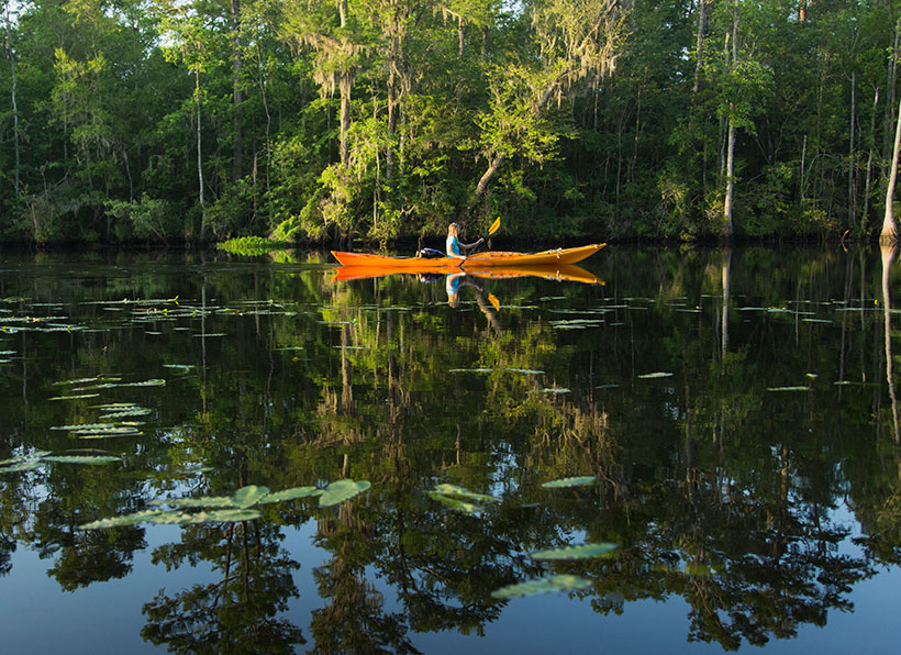 Paddling on the Black River, one of the four rivers that make up Winyah Bay Basin in South Carolina. &copy; Mac Stone