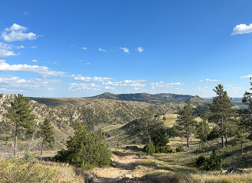 The Nature Conservancy’s Whitney Preserve features a convergence of sage lands, pine forest and grasslands in South Dakota’s Black Hills. &copy; Katelyn Campbell/TNC