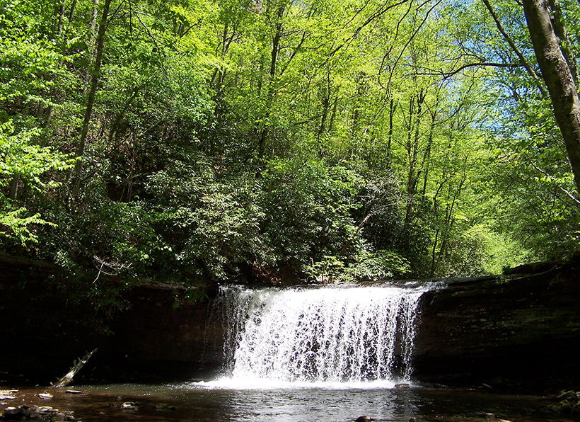 Falls in Clinch Mountain area, Smyth County, Virginia. &copy; Barbara DeBord