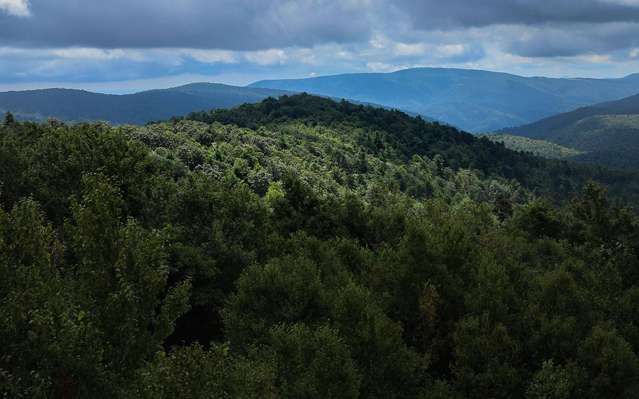 Elevated view of ridges of densely forested mountains under a sky with heavy clouds.