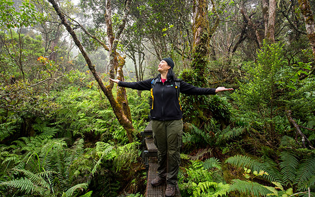 TNC’s Renee Miller on Waikamoi Preserve boardwalk, Maui. &copy; Ian Shive