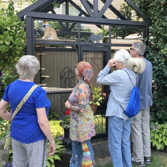 a group of four people admire a tall catio with two cats inside