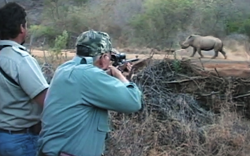 Trophy hunting Rhino
