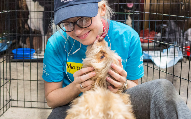 volunteer playing with dog