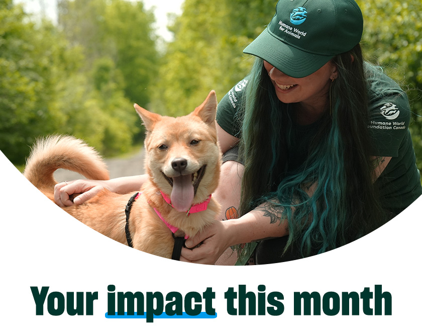 A Humane World for Animals staff member smiles while petting Peach outdoors. Text in image: