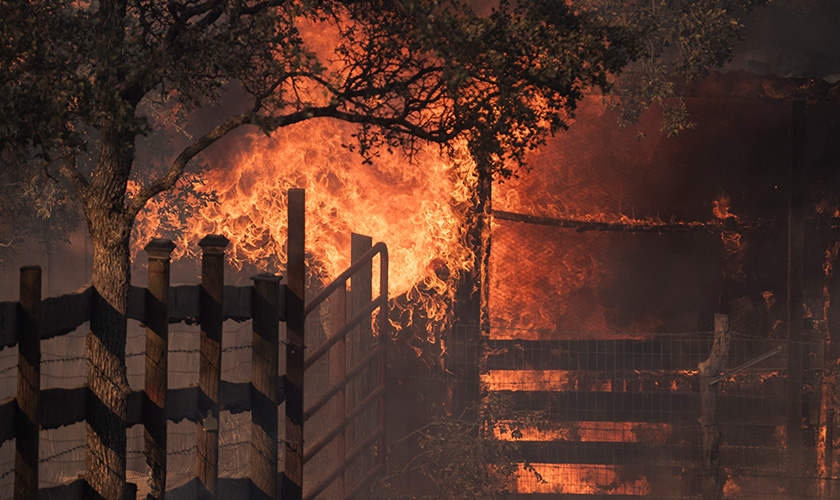 A photo of a fire